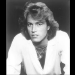 Andy Gibb